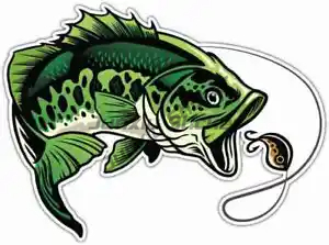 Poleiro pesca adesivos janela  - Laptop Accessories Box avaliação e preço
